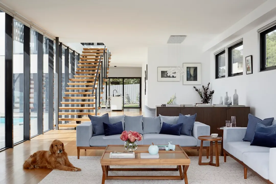 Double-height living room with an open timber stair and a dog on the rug